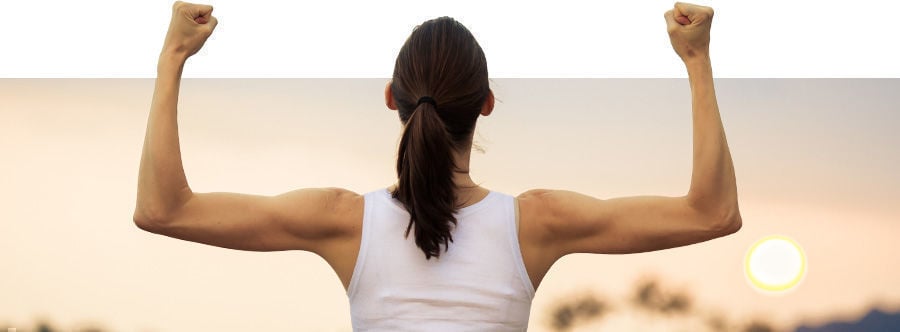 Todo Sobre Energizantes Todo Sobre Energizantes