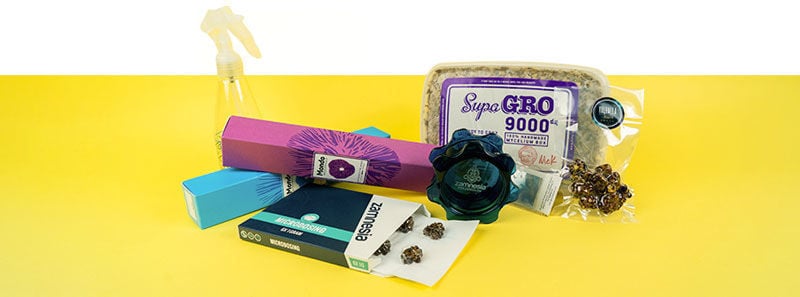 Todo lo que necesitas para tripar y microdosificarte con psilocibina