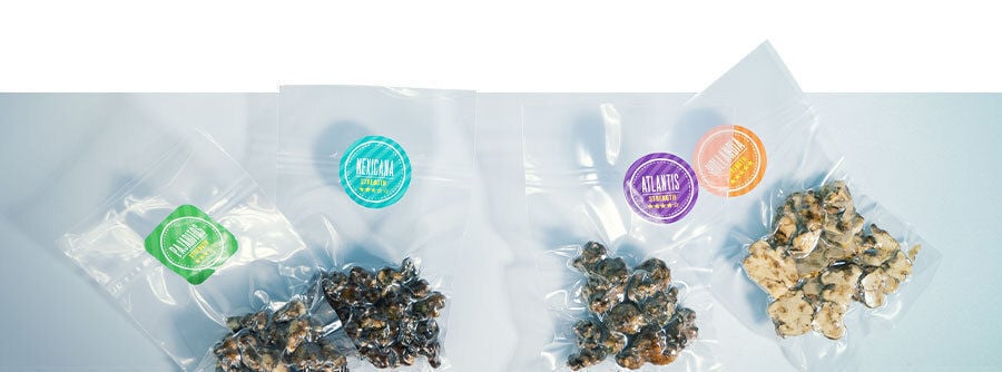 Compra trufas mágicas frescas y potentes