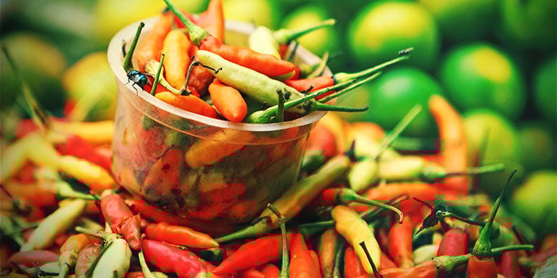 ¿Por Qué Cultivar Tus Propios Pimientos? ¿Por Qué Cultivar Tus Propios Pimientos?