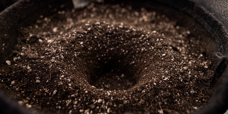 Prepara el nuevo hogar