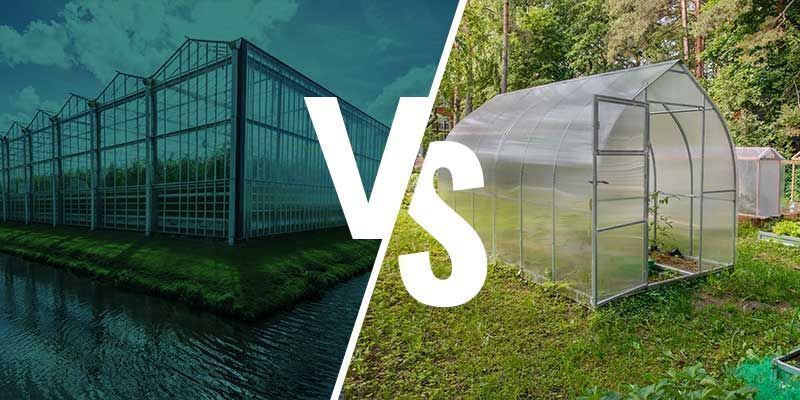 Diferencias entre el cultivo en invernadero y en un jardín de invierno