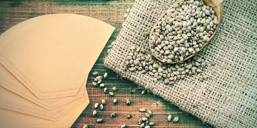 Germinar Las Semillas De Cannabis: Filtro De Café