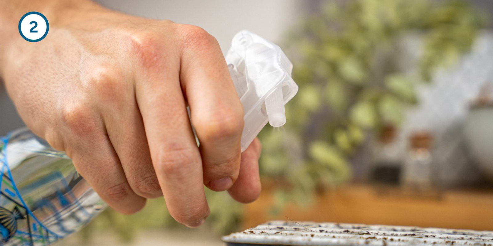 Método con kit de germinación Método con kit de germinación