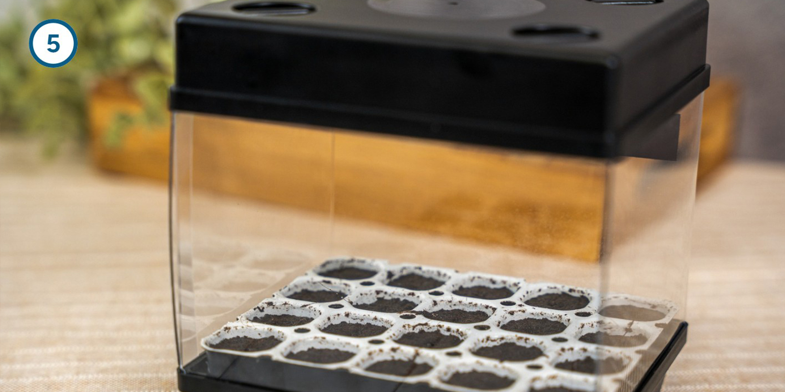 Método con kit de germinación Método con kit de germinación