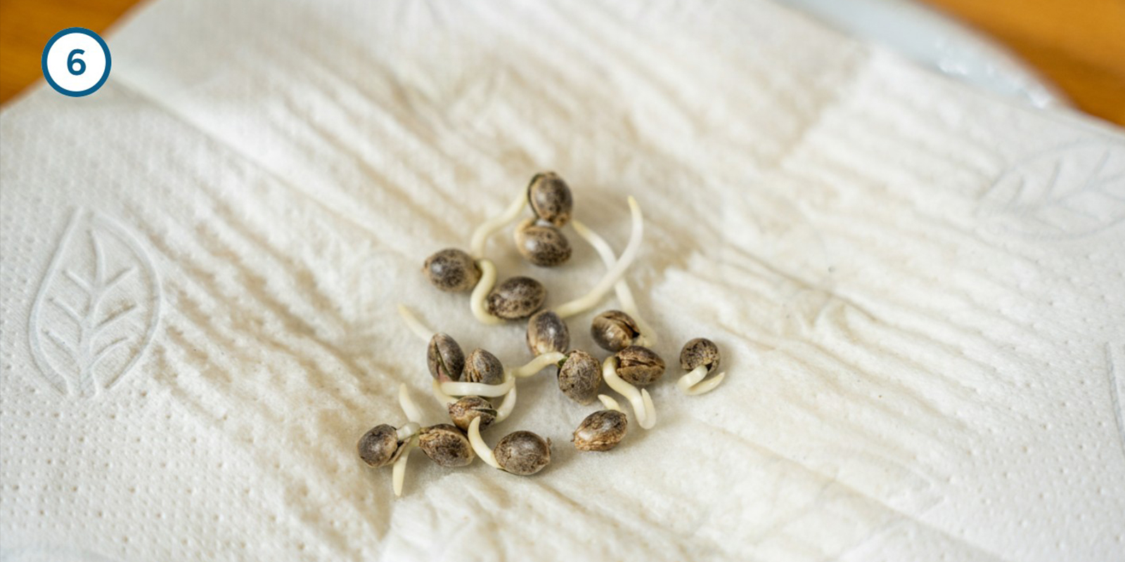 Método del papel de cocina Método del papel de cocina