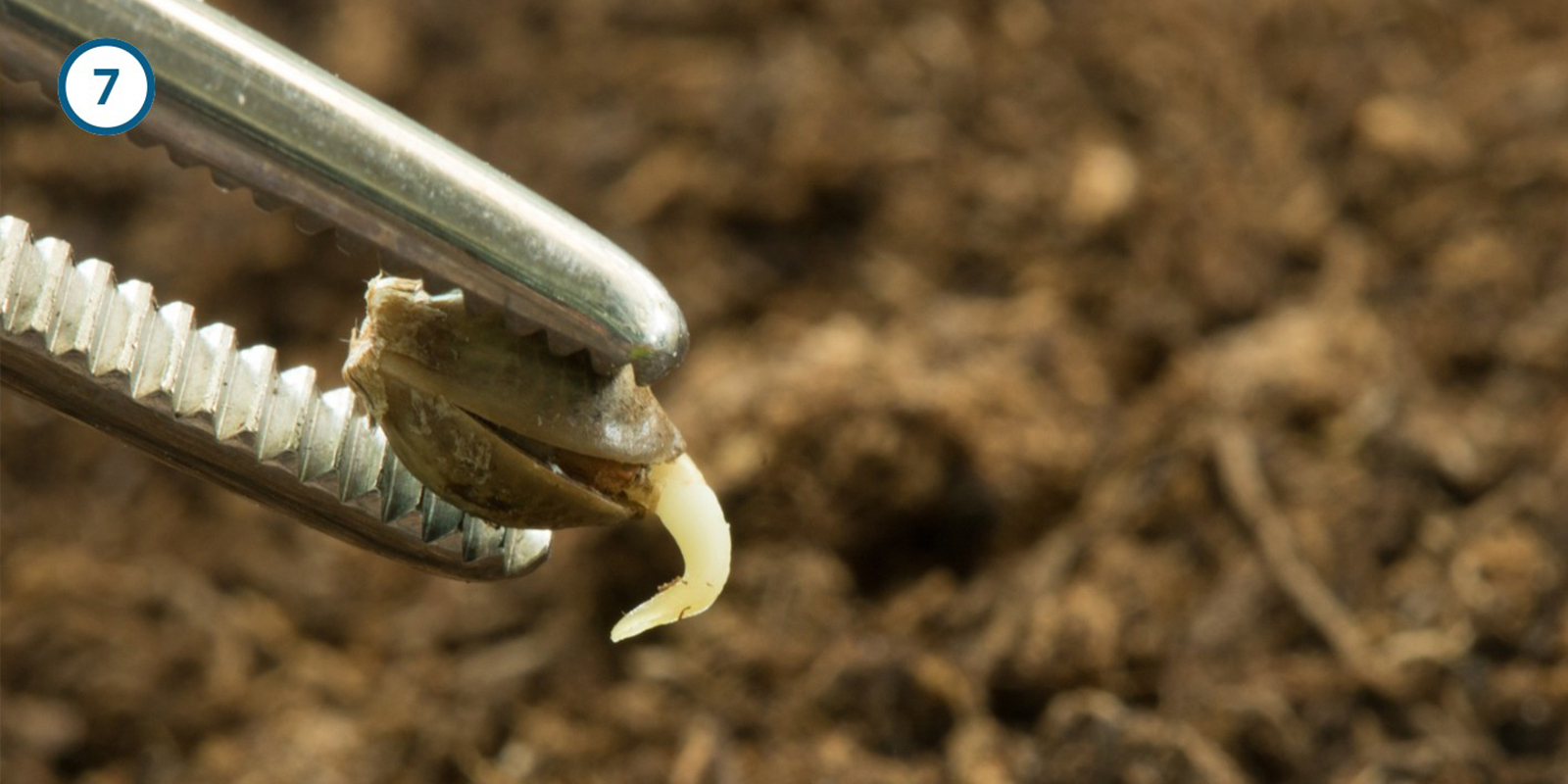 Método del papel de cocina Método del papel de cocina