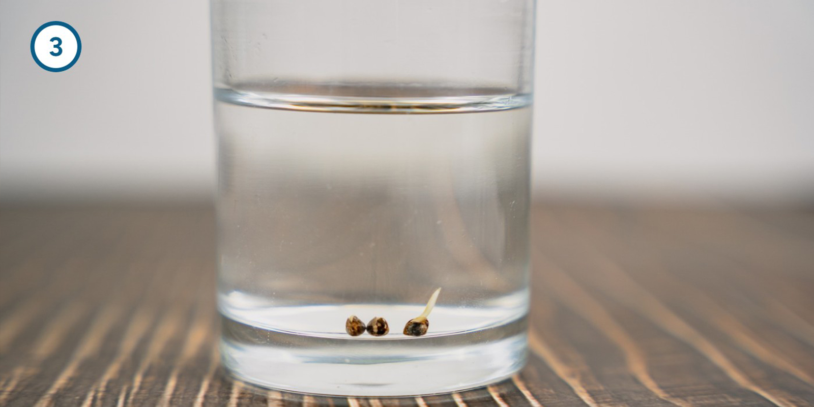 Método de remojo en agua Método de remojo en agua