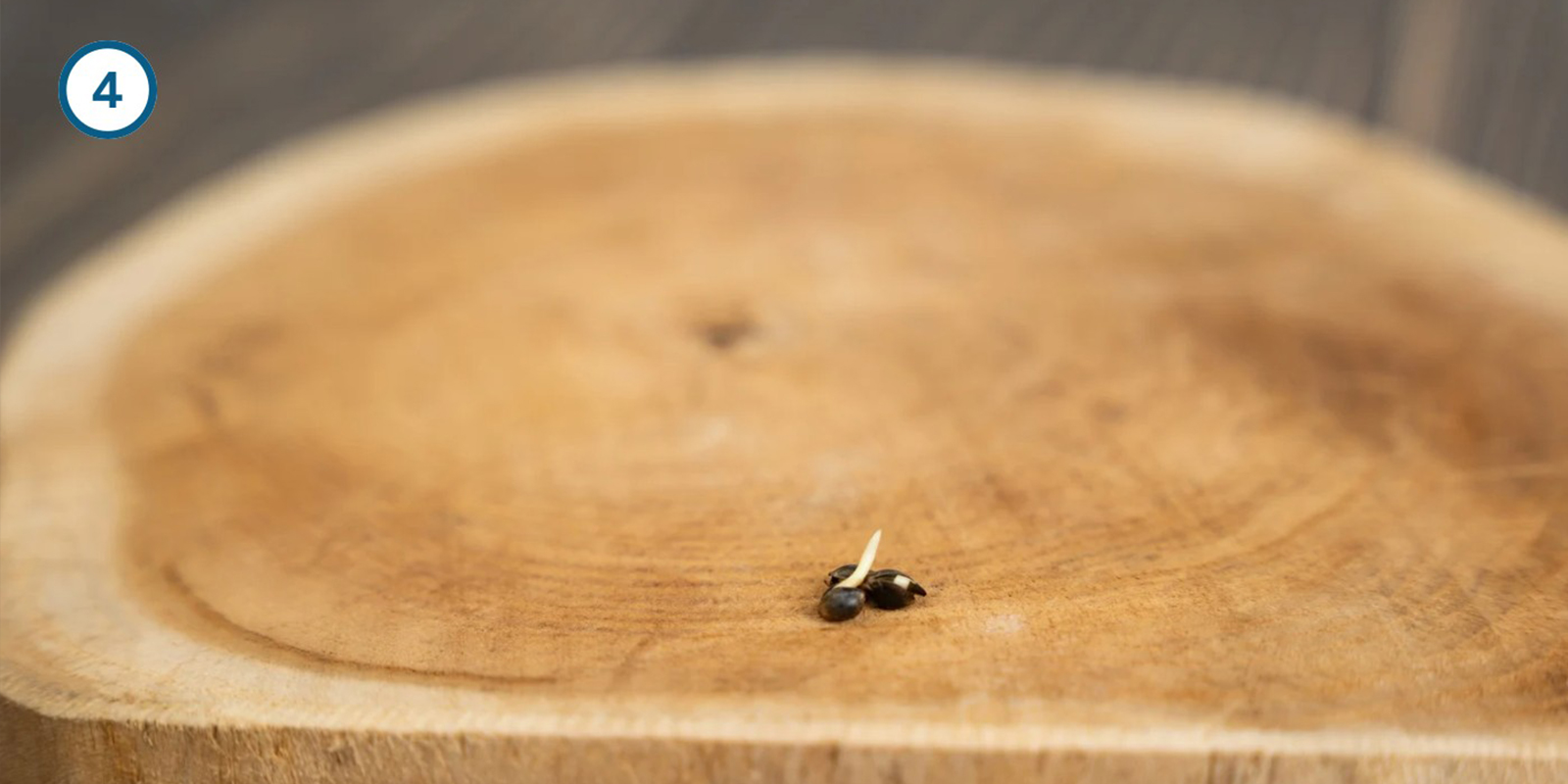 Método de remojo en agua Método de remojo en agua