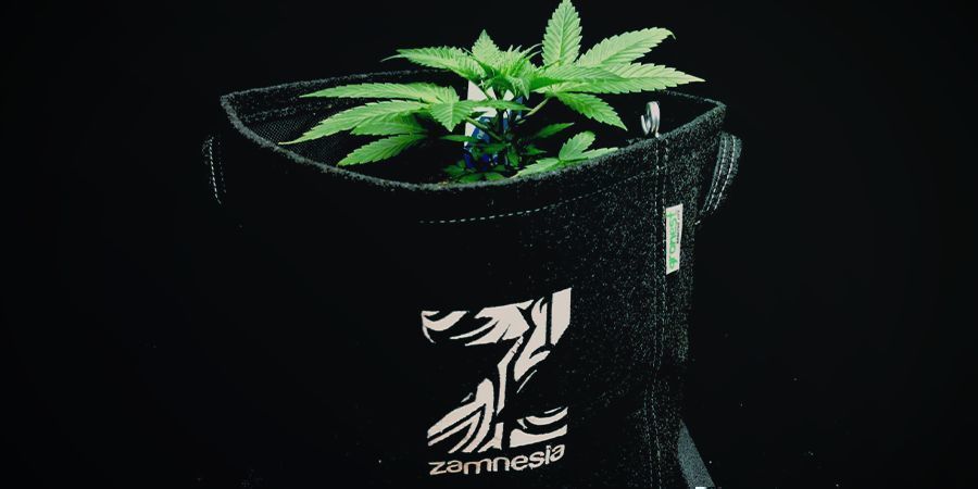 Macetas De Tela (Smart-Pots) Cannabis