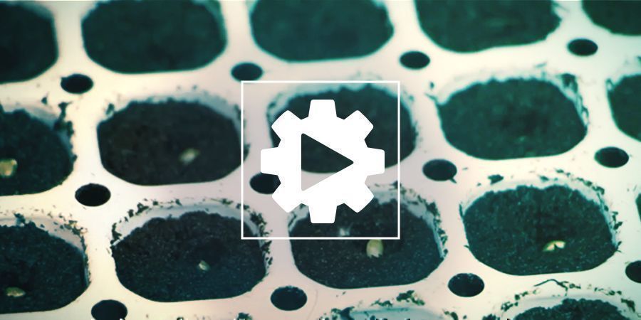 Germinación De Las Semillas Con El Smart Start