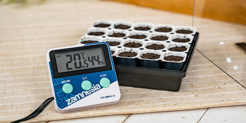 Consejos Y Sugerencias Para Germinar Semillas De Marihuana Con Un Kit Smart Start