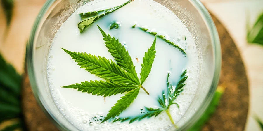 Leche De Marihuana