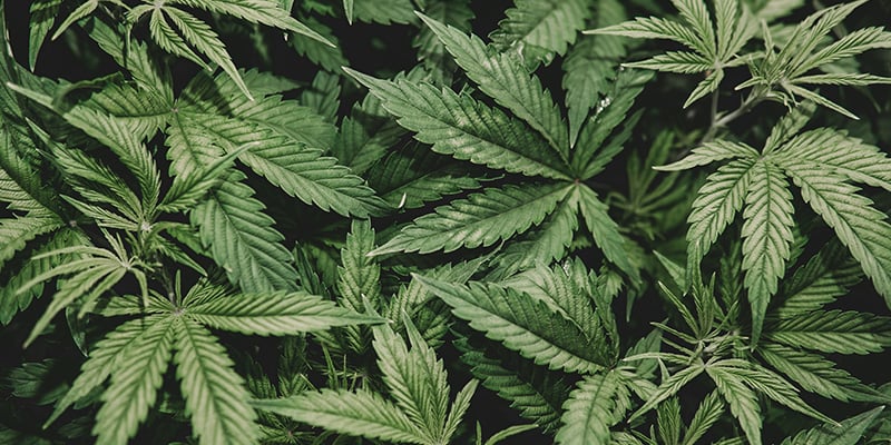 Errores comunes que debes evitar Errores comunes que debes evitar