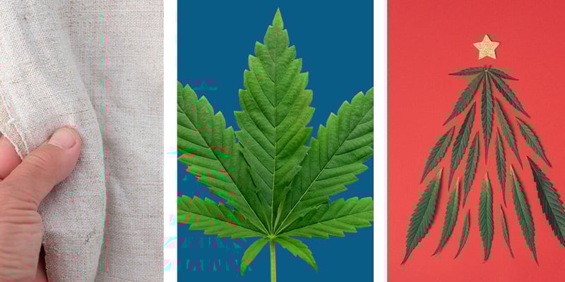 Usos creativos y DIY Usos creativos y DIY