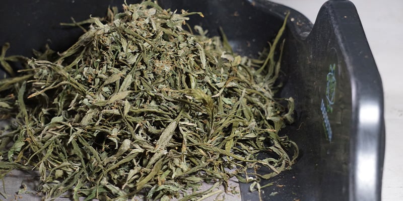 Dale una segunda vida a tus recortes Dale una segunda vida a tus recortes