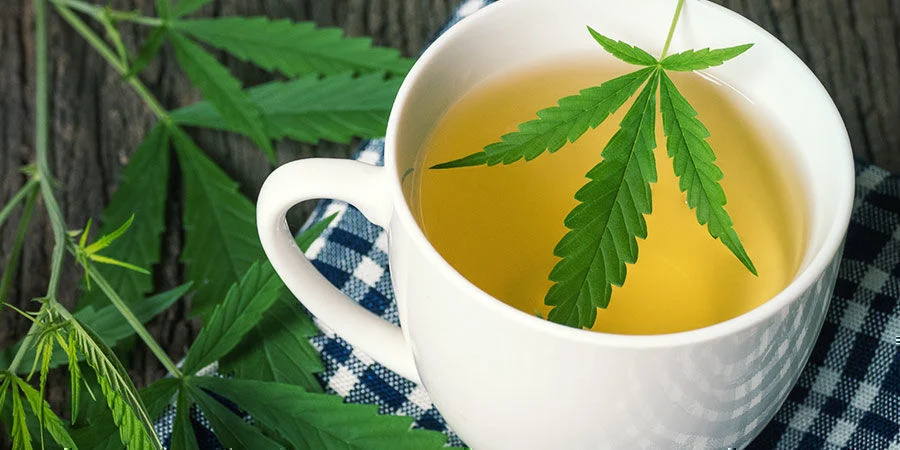 Té de cannabis