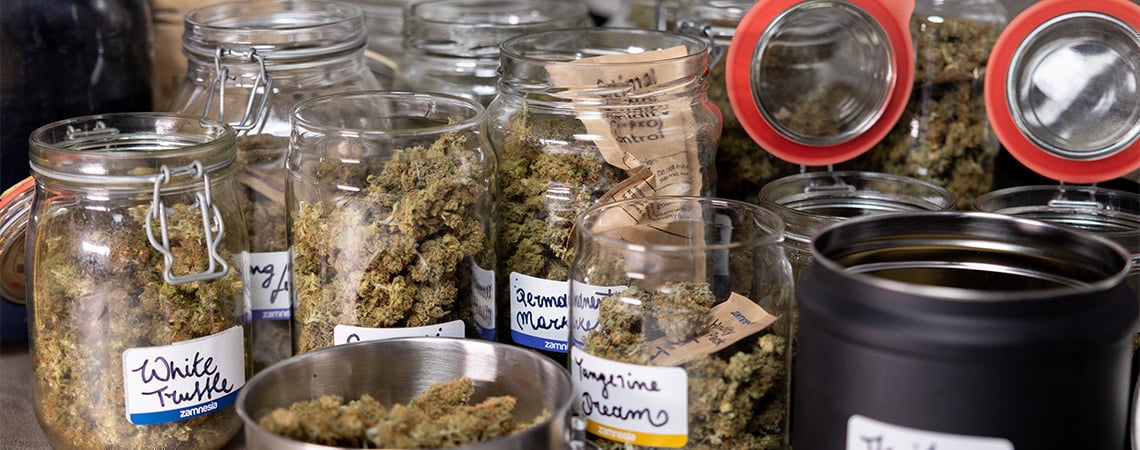 Cómo curar tu marihuana