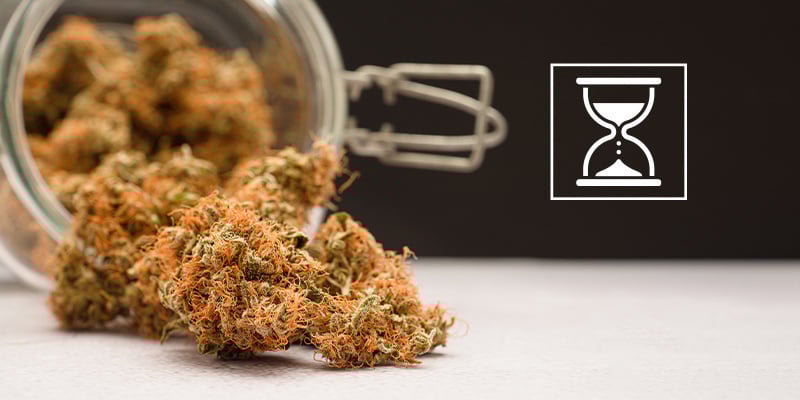 ¿Se puede curar la marihuana durante demasiado tiempo?