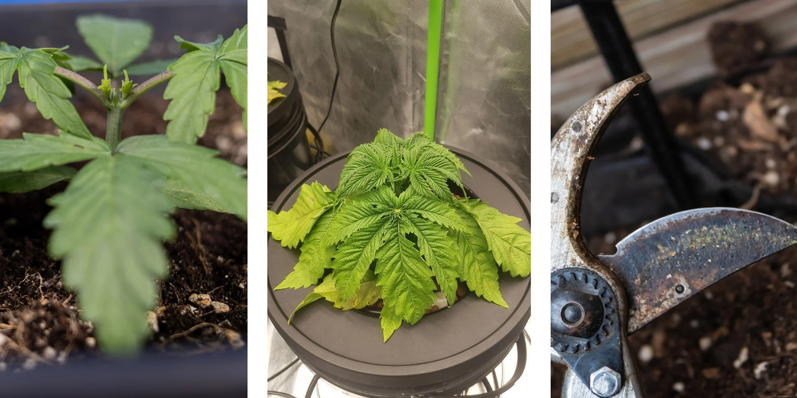 Errores comunes que debes evitar Errores comunes que debes evitar