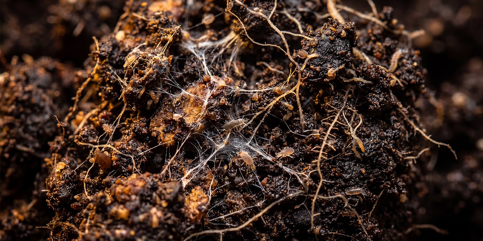 Cultivo org&aacute;nico: &iquest;sigue haciendo falta lavar?