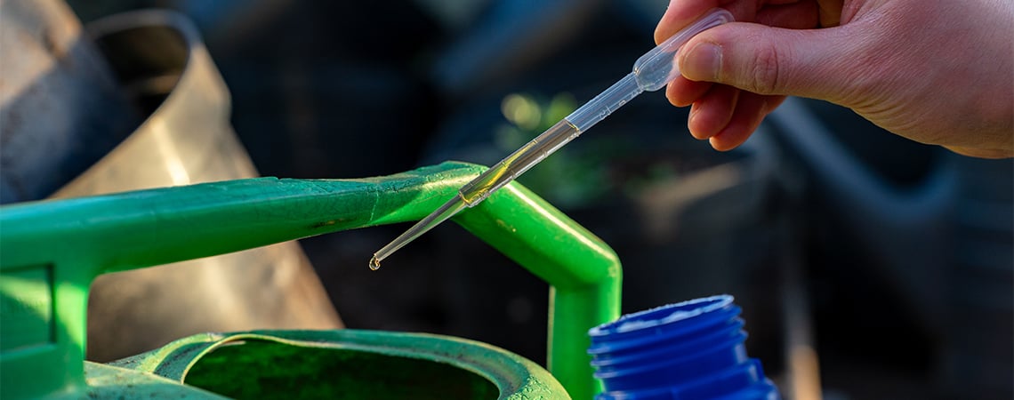 ¿Necesitan Fertilizante Las Autoflorecientes? ¿Necesitan Fertilizante Las Autoflorecientes?