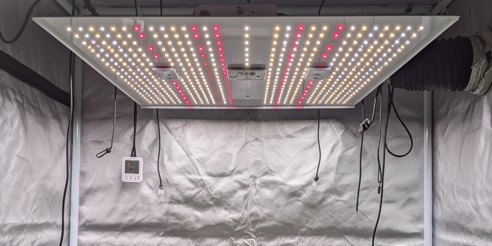 Ciclo de luz 24/0 Ciclo de luz 24/0