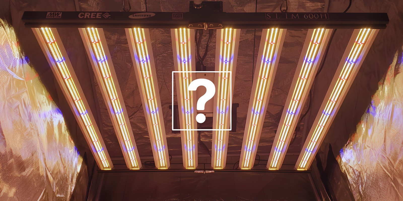 Cómo elegir el ciclo de luz adecuado Cómo elegir el ciclo de luz adecuado