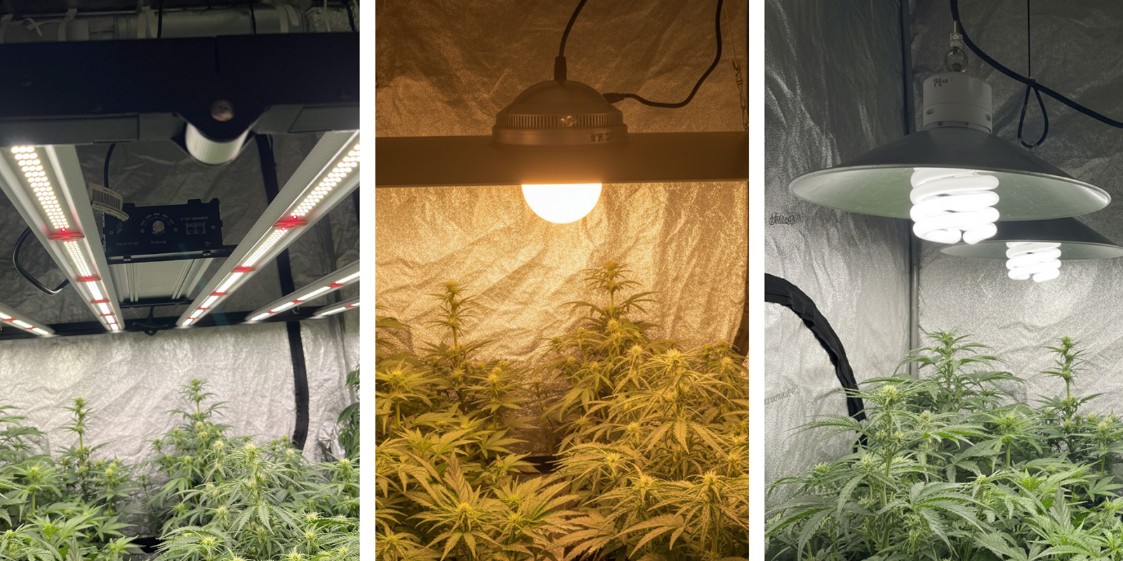 Tipos de luces de cultivo Tipos de luces de cultivo