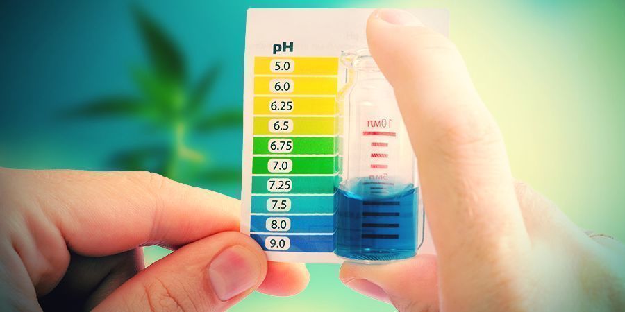 Cómo Remediar La Toxicidad Del Calcio