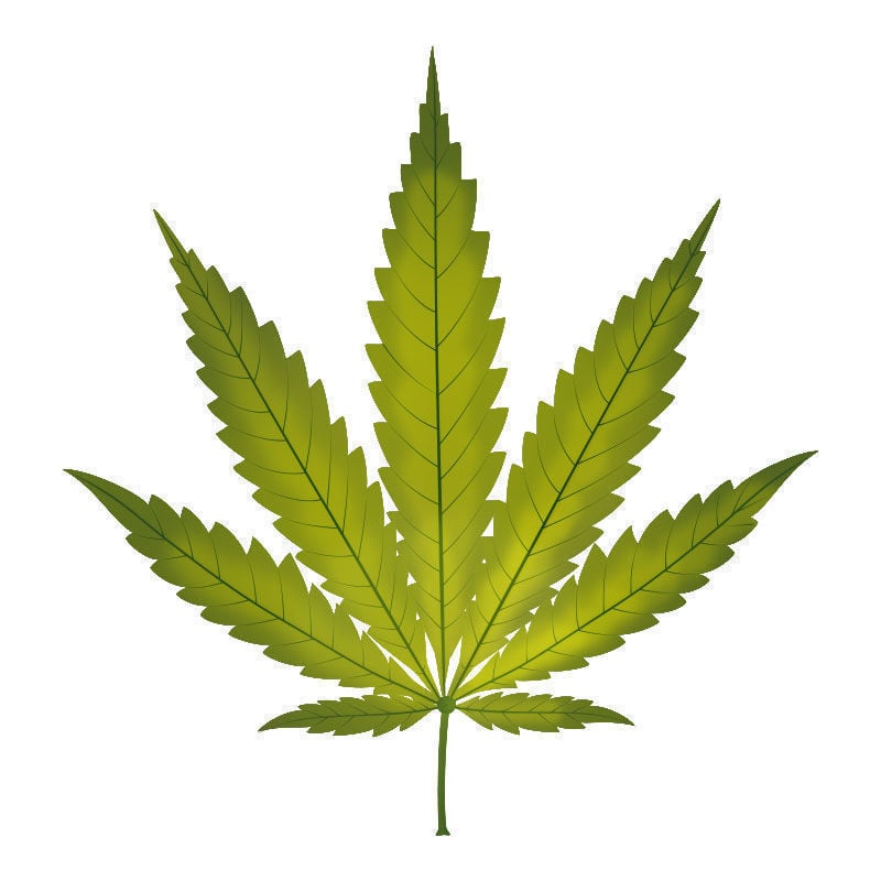 La Deficiencia De potasio En Plantas De Marihuana: Inicio de la deficiencia de potasio