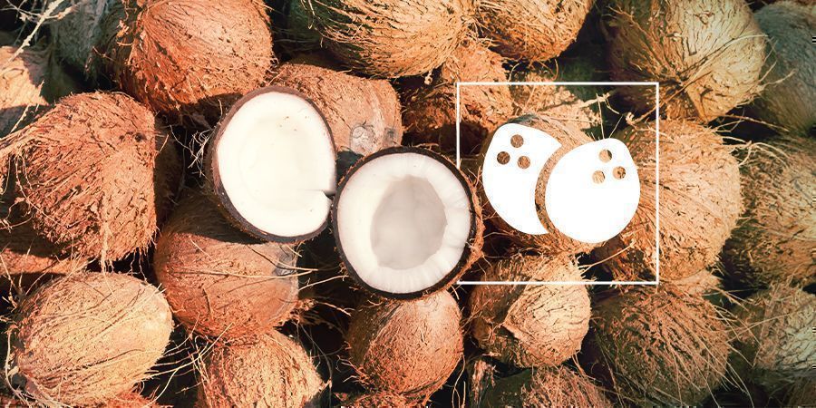 Fibra de coco: La mejor opción para tu cultivo