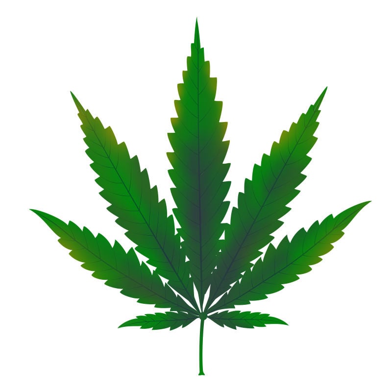 La Deficiencia De Cobre En Plantas De Marihuana: Inicio de la deficiencia de Cobre 