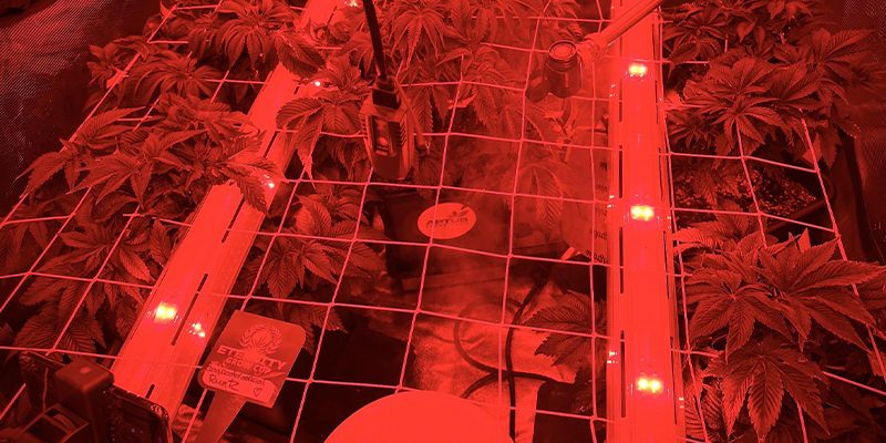 Los mejores tipos de luces para la iluminación intercalada