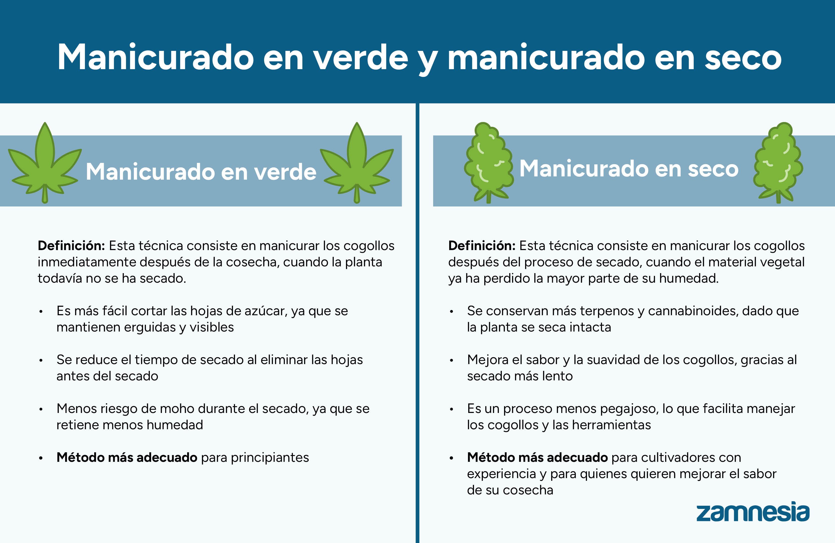 Manicurado en verde y manicurado en seco: ¿Cuál es mejor?