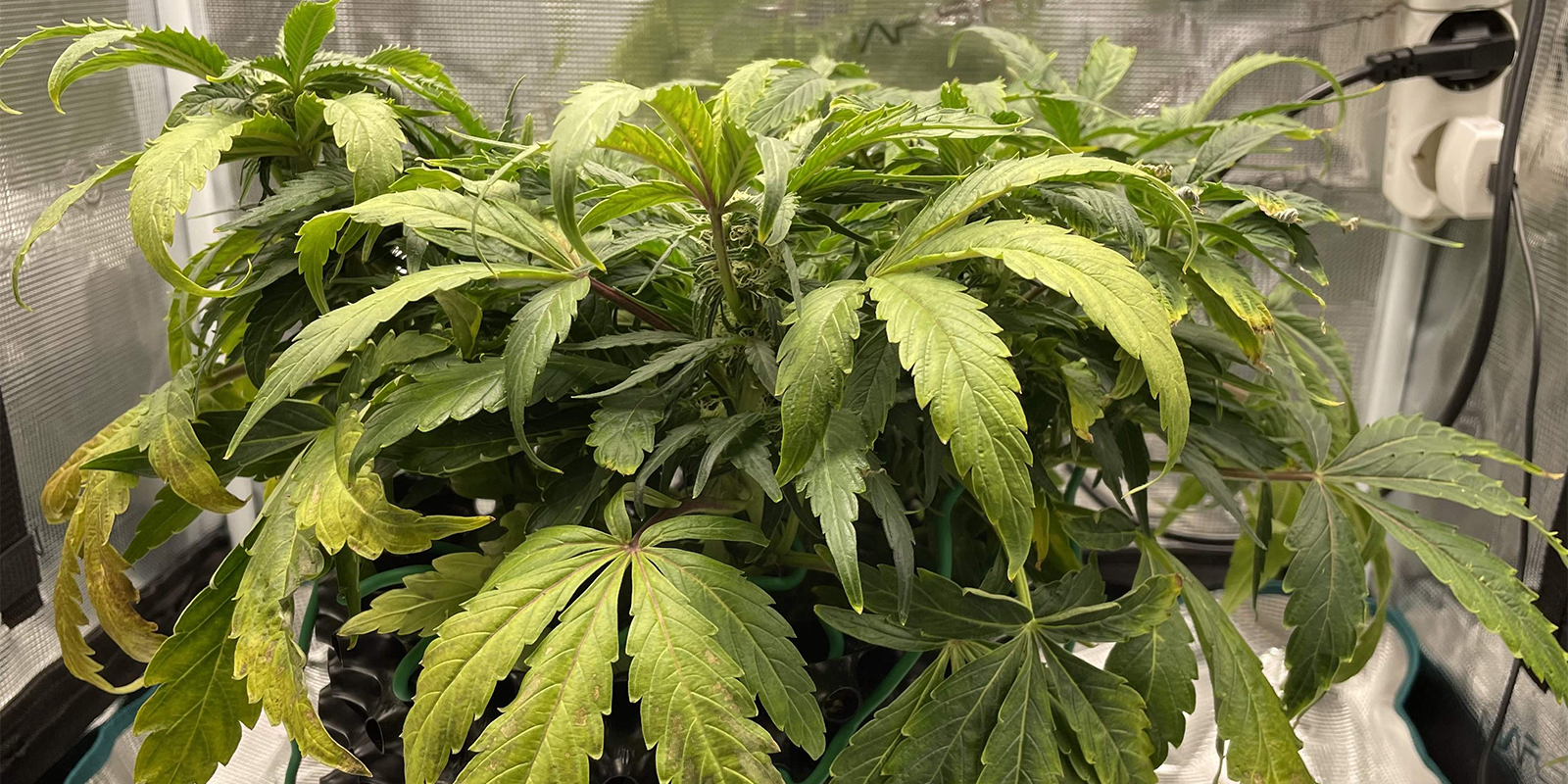 Qu&eacute; pasa si no lo solucionas