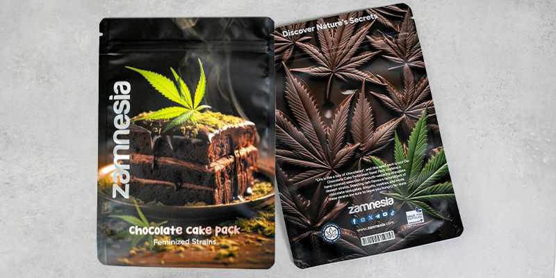 Pack Chocolate Cake - Variedades Feminizadas