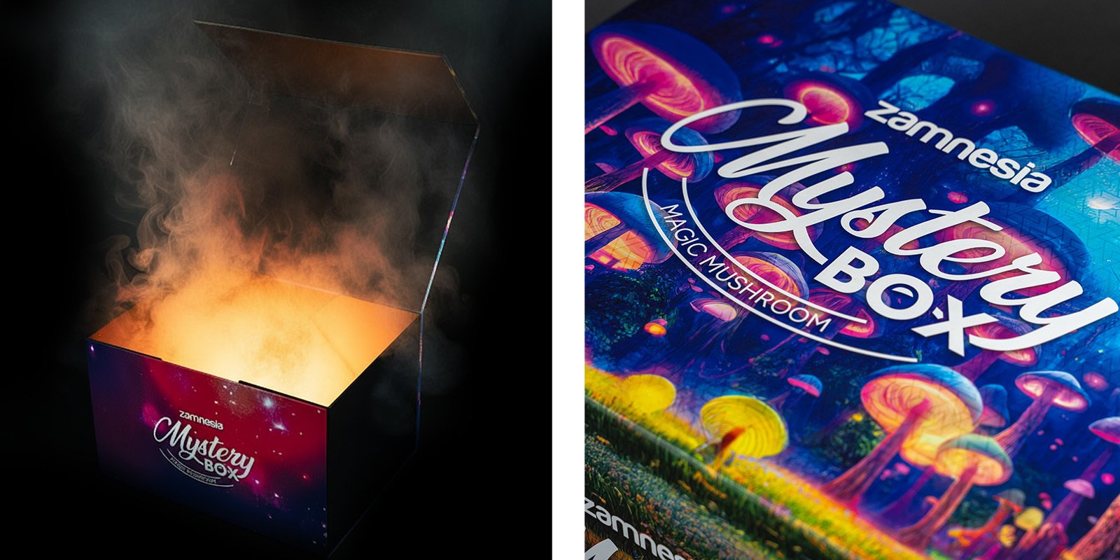 Caja Misteriosa de Setas Mágicas: la experiencia definitiva de Zamnesia Caja Misteriosa de Setas Mágicas: la experiencia definitiva de Zamnesia