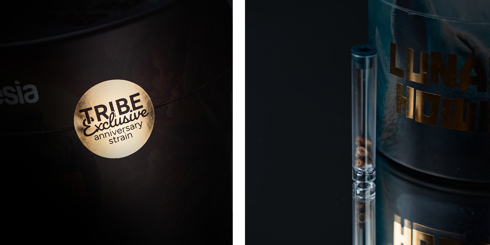 Aroma, sabor y efectos de la Lunar Howl: Una delicia aromática con notas dulces y de gasolina Aroma, sabor y efectos de la Lunar Howl: Una delicia aromática con notas dulces y de gasolina