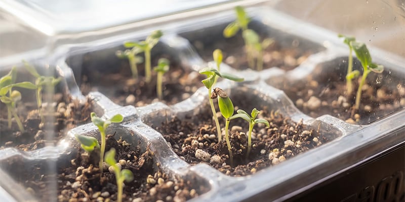 Perfecto para todos los cultivadores
