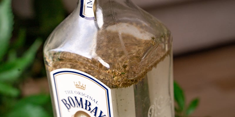 A Continuación, Pon La Hierba Molida En La Botella Y Llénala De Ginebra