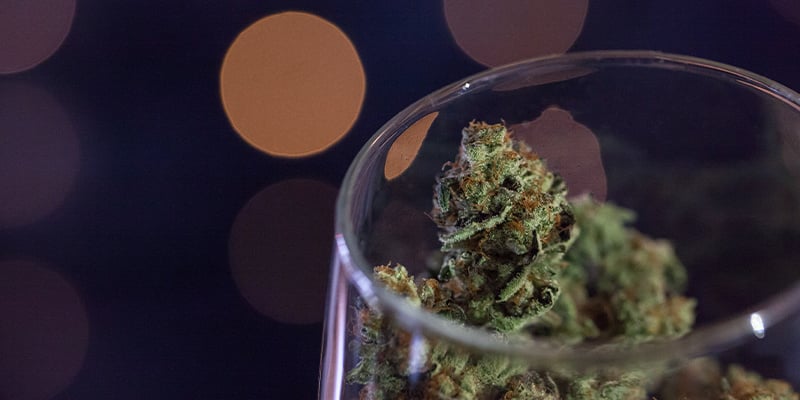 Cómo Añadir La Marihuana Al Vino