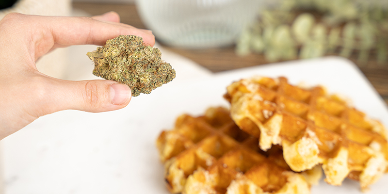 Riesgos De Consumir Gofres De Marihuana