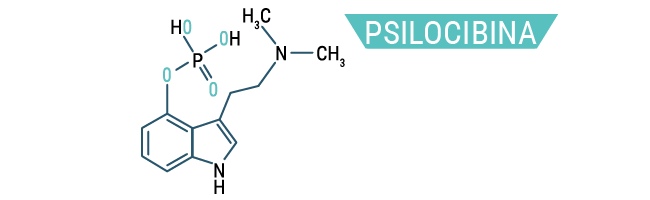 Psilocibina Psilocibina