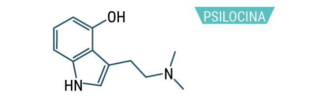 Psilocina Psilocina