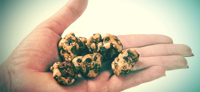 ¿QUÉ SON LAS TRUFAS MÁGICAS?