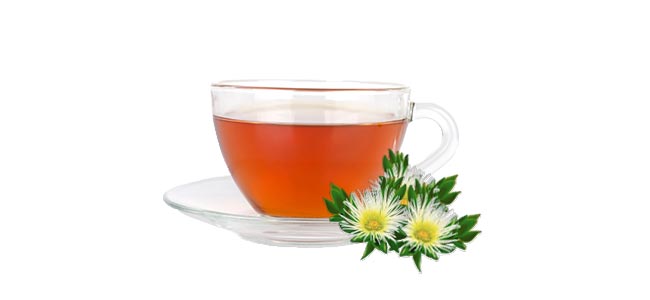 Cómo Hacer Té De Kanna Cómo Hacer Té De Kanna