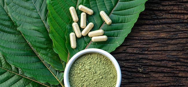¿Qué Es El Kratom? ¿Qué Es El Kratom?