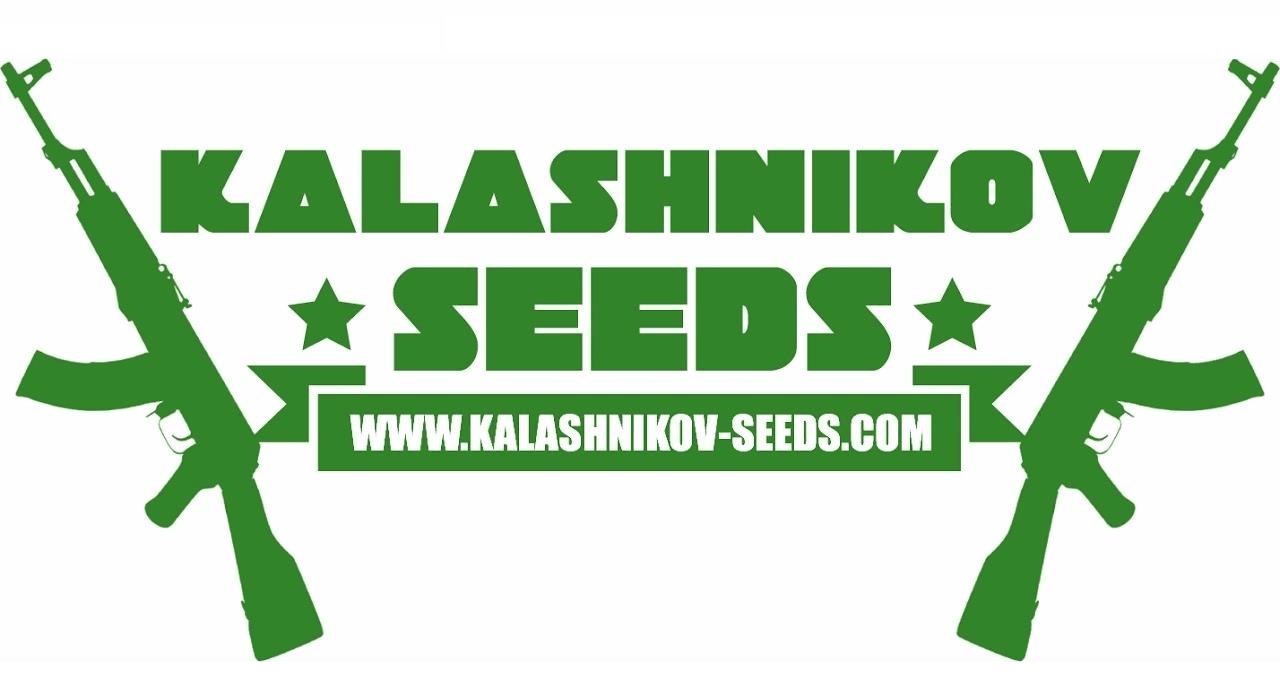 Kalashnikov Seeds Kalashnikov Seeds