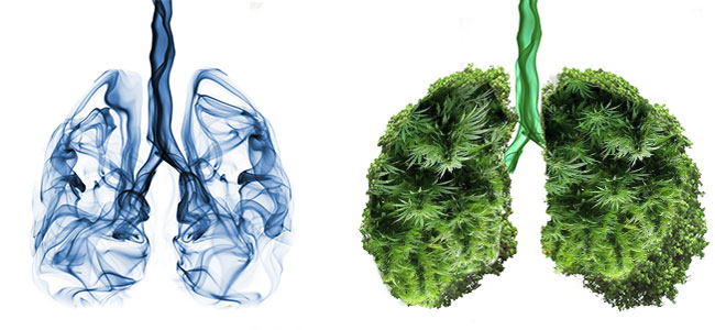 Pulmones de tabaco vs pulmones de vaporizador Pulmones de tabaco vs pulmones de vaporizador